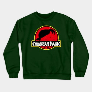 Cambrian Park Crewneck Sweatshirt